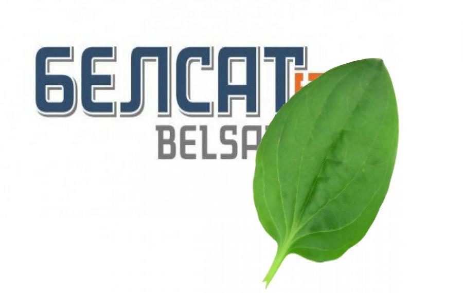 Калаж: Euroradio