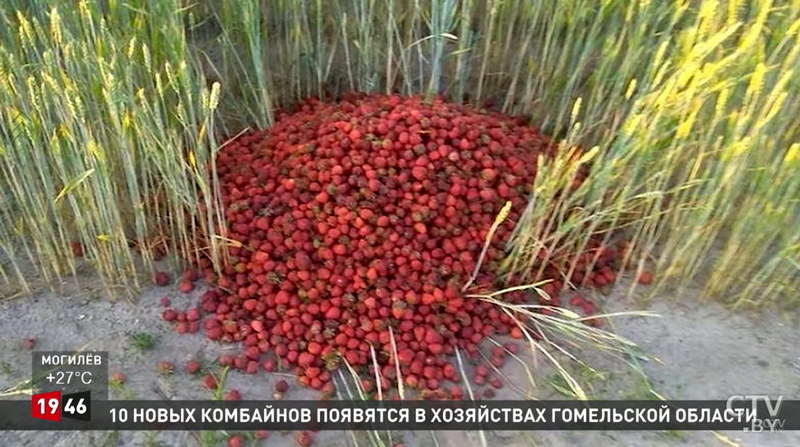 Скриншот сюжета СТВ