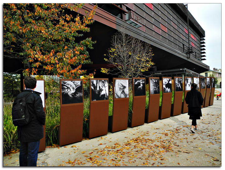 Выстава Андрэя Лянкевіча ў Парыжы Выстава Андрэя Лянкевіча ў Парыжы