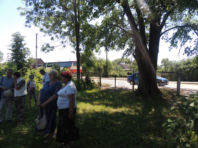 На заднім плане — той самы вяз
