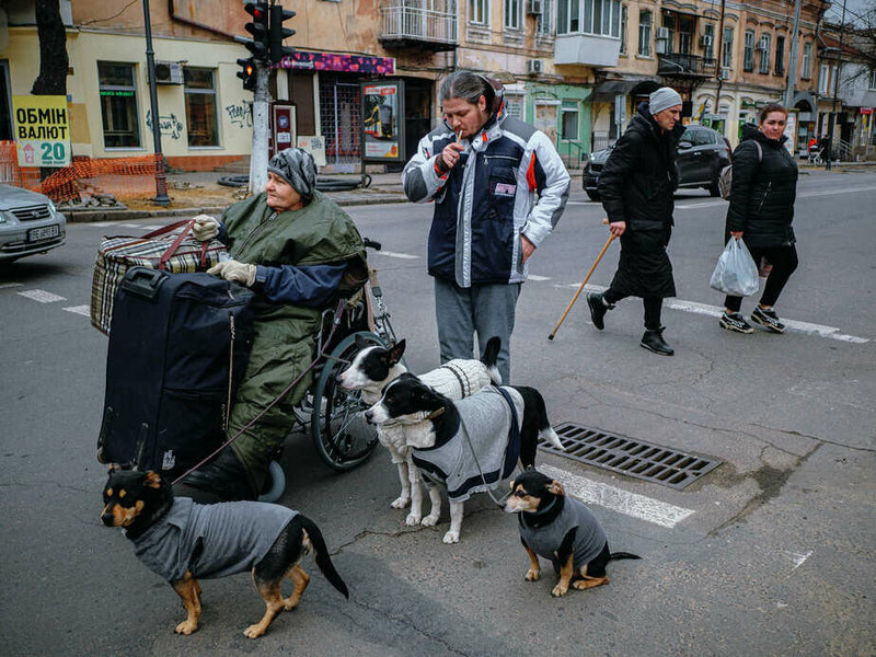 Эвакуацыя самага каштоўнага. Аляксандр паспрабаваў надбаць мясцовую акрэдытацыю ад украінскага СМІ, але ў выніку атрымаў акрэдытацыю ад «Белсата» і рыхтаваў для іх некалькі рэпартажаў