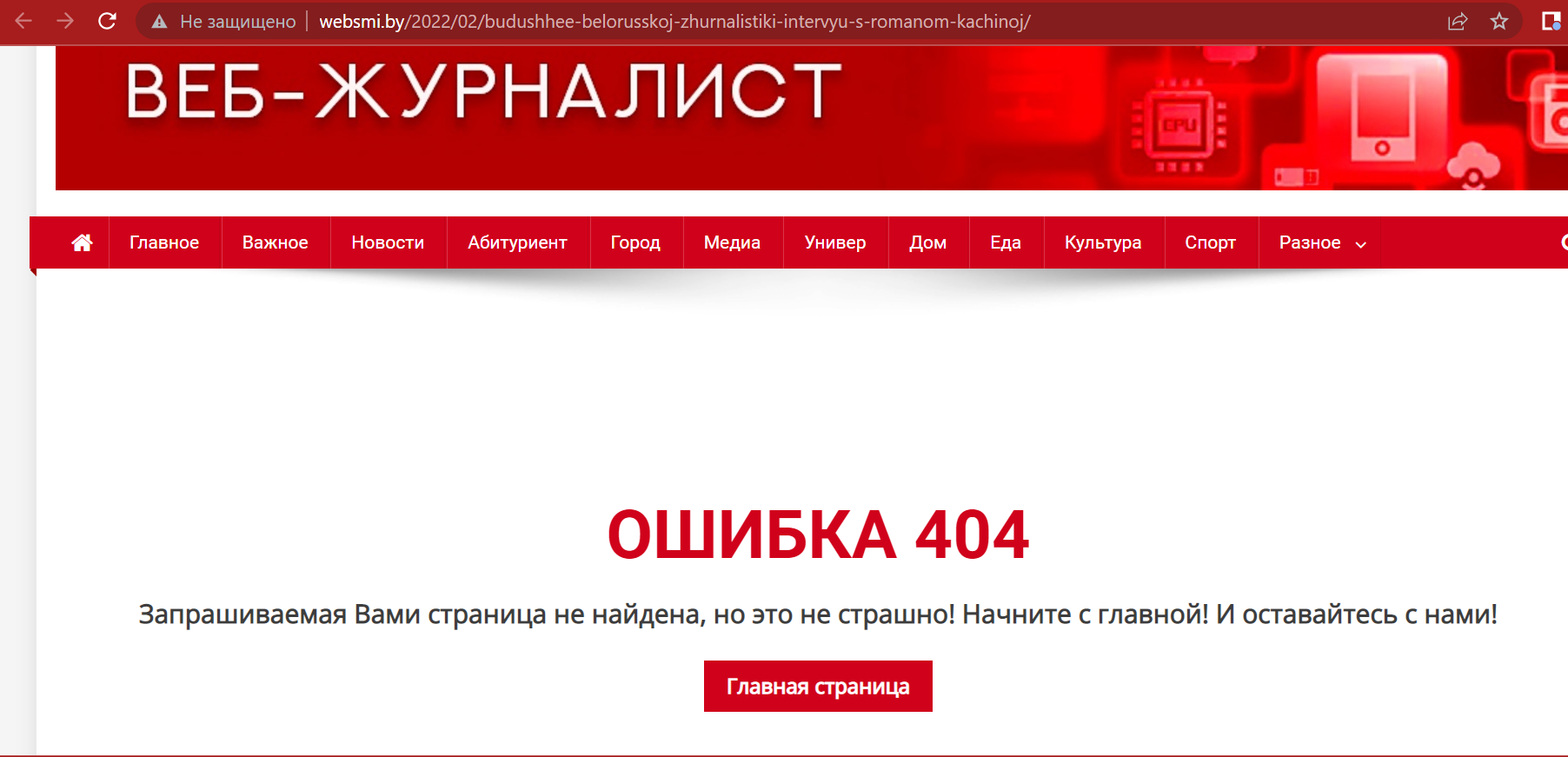 Скриншот сайта Websmi.by