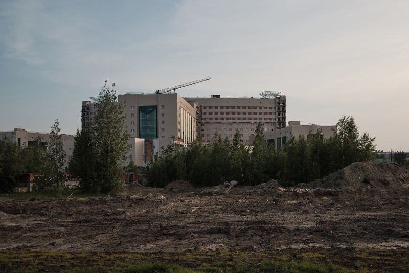 Фото: V. Tarasenko / Shutterstock.com