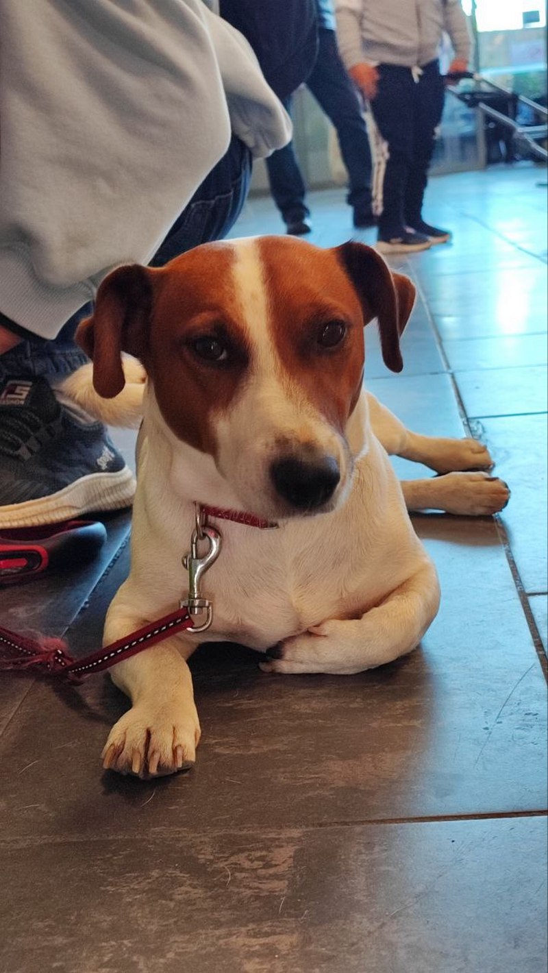 Валанцёрскі цэнтр у Рызе. Фота з асабістага архіва аўтара