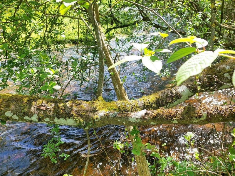 Навакольная прырода і прыгажосць. Фота з асабістага архіва героя