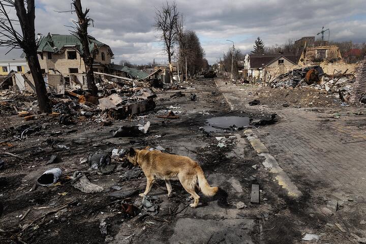Одна из улиц Бучи, 4 апреля 2022 года. Фото: Reuters