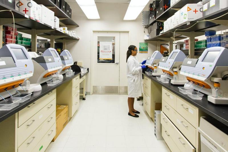 Фото: National Cancer Institute с сайта Unsplash.