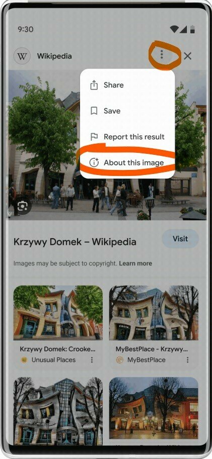 Использование функции About this image. Источник: Google