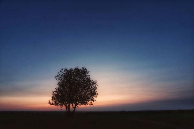 Фота: Аляксандр Зянкоў