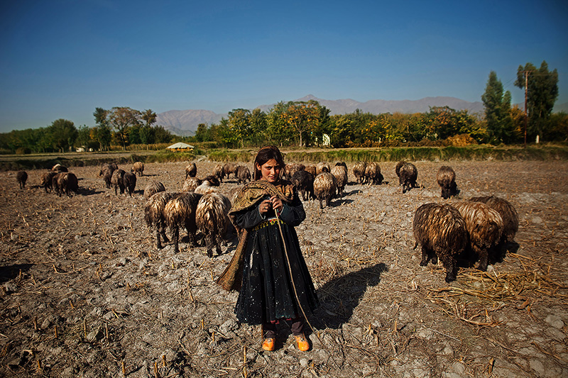 Афганистан