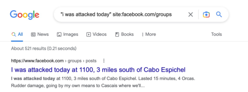 Поиск сообщений общедоступных групп в Facebook через Google. Скриншот: Хенк ван Эсс
