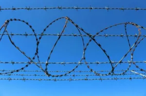 калючы дрот