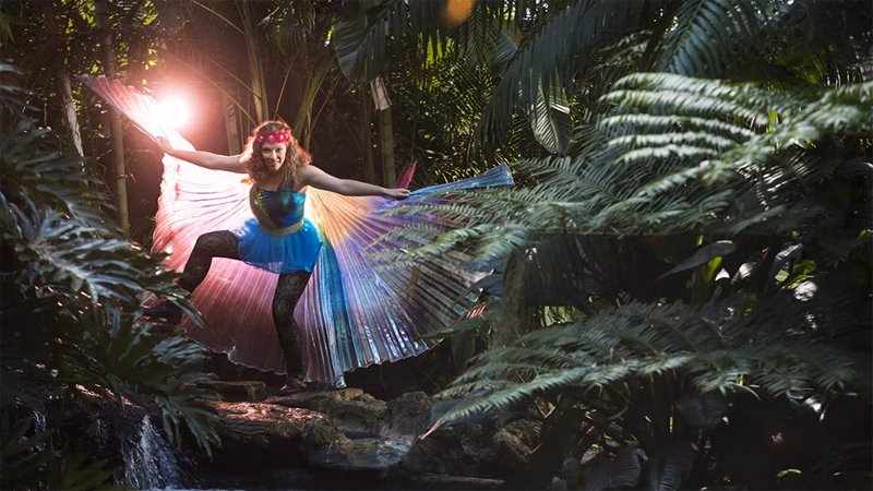 спектаклі пад адкрытым небам