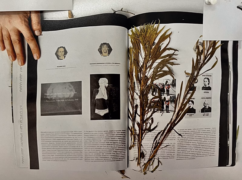 Праект «Горкія зёлкі» Марыі Гвардзейцавай 