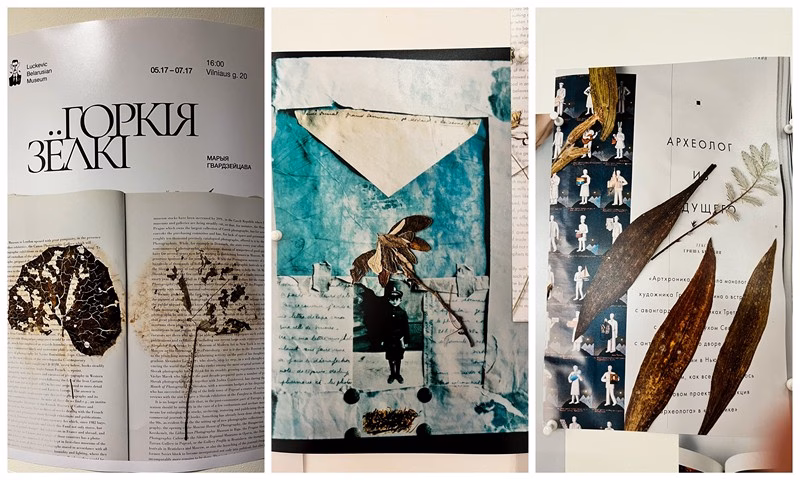 Праект «Горкія зёлкі» Марыі Гвардзейцавай 