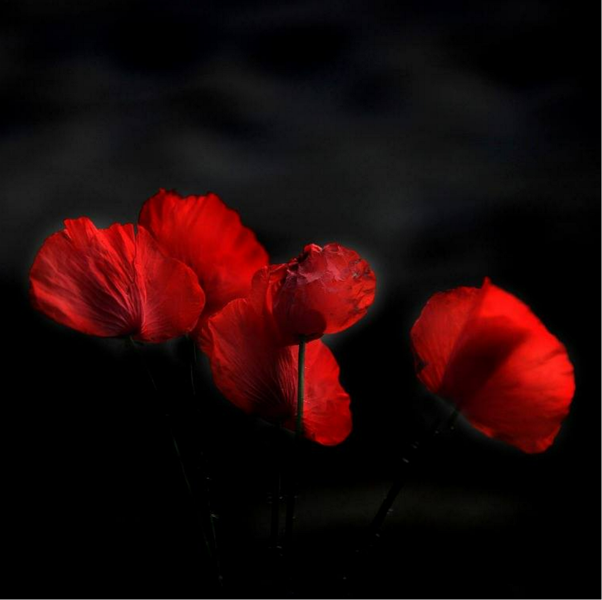 Наталия Дорош