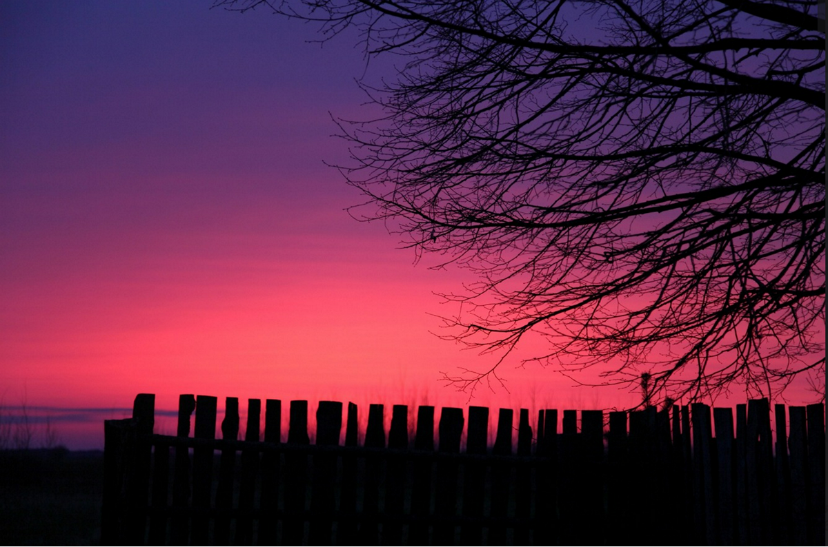 Наталия Дорош