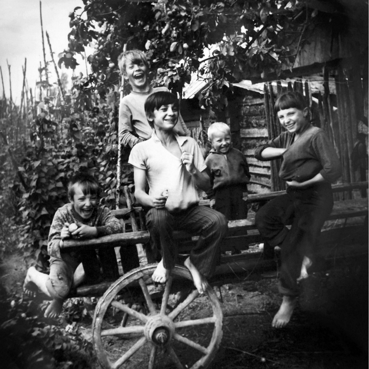 Наталия Дорош