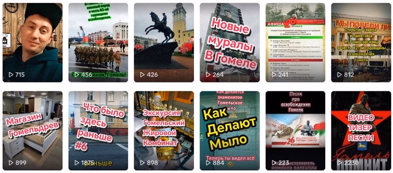 что из себя представляют гомельские провластные блогеры