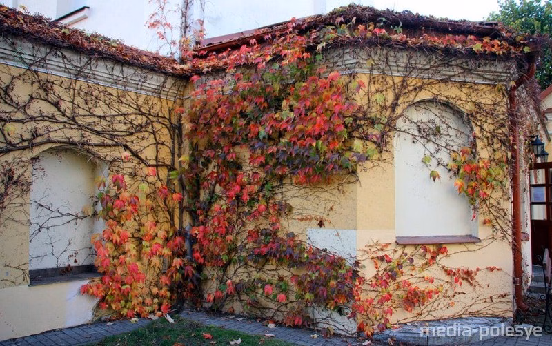 Васіль МацкевічВасіль Мацкевіч